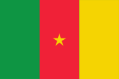Flagge Fahne flag National flag Kamerun Cameroon