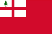 Flagge Fahne flag Neuengland New England
