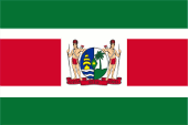 Flagge Fahne Flag Präsident President Surinam Suriname