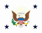 Flagge Fahne flag Vizepräsident Vice President USA Vereinigte Staaten von Amerika United States of America